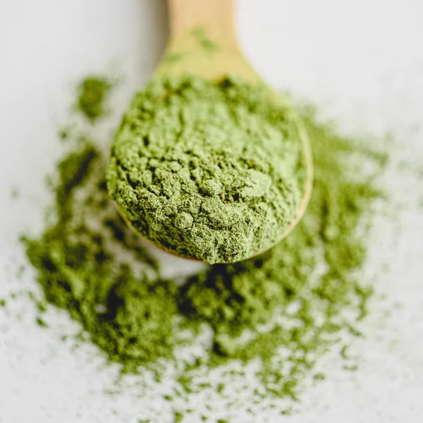 Organický Kulinářský Čaj Matcha 1kg