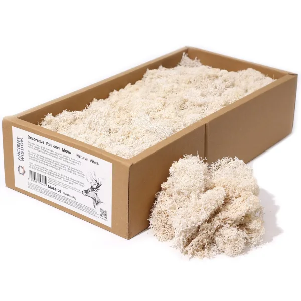 Kvalitní Dekorativní Mech - Naturální - 635g Box