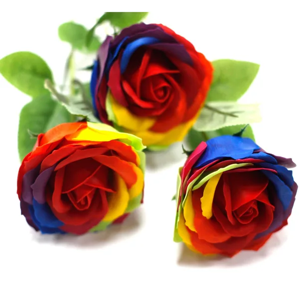 Luxusní Mýdlové Květy - Duhová Růže