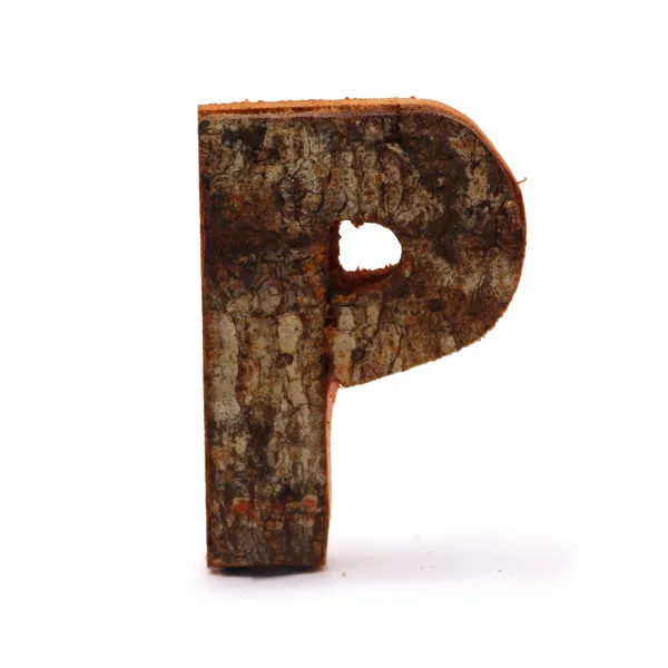 Písmeno - Rustikální Kůra - P  - 7cm